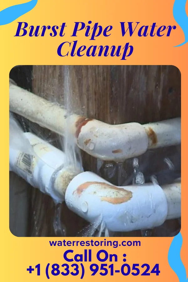 Burst Pipe Water Cleanup in Storrs, CT