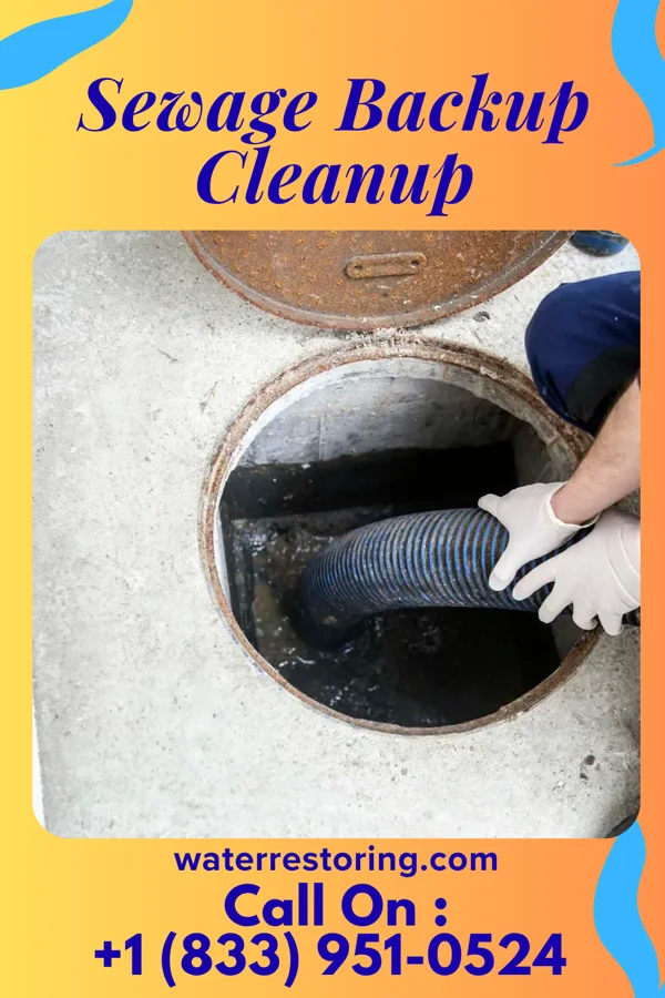Sewage Backup Cleanup in Storrs, CT