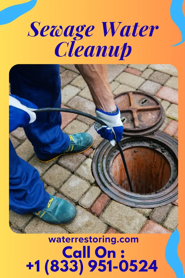 Sewage Water Cleanup in Storrs, CT